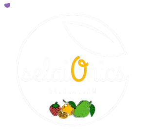 Selai Onics Logo